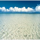 바다사람들 이미지