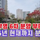 부영6차공인중개사사무소 | 제주 삼화부영 6차, 지금 사도 될까? (데이터 기반 심층 분석 및 미래 전망)
