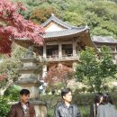 장곡초등학교 이미지