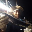 금갈치은고등어 이미지