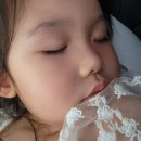볼베어파크천안점 이미지