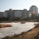 물푸레 북카페 이미지