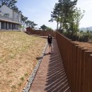 애견민박 멍집 이미지