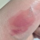 원앙뜰 | [내돈내산] 클리오 X 국가유산청: 크리스탈 왕실 에디션 5종 후기 추천 리뷰