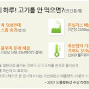 하나로미트 이미지