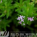 원산목장 이미지