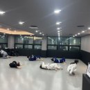 팀미르주짓수 네이버블로그