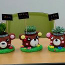 반려식물 원예아트 이미지