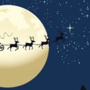 대청사슴 이미지