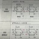 1권 1장 3쪽 포도당 질문입니다 이미지