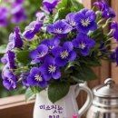 마음다해 이미지