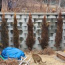 누리힐링하우스 이미지