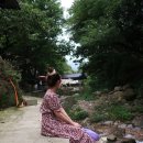 여름원피스추천 플라워셔링원피스 여성쇼핑몰 임블리 &#39;우아플라워 반팔롱원피스&#39; 아담블리 후기