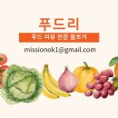 푸드리푸드 티스토리