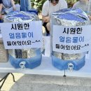 59 | 용인 콩게미 콩국수 맛집 주말 웨이팅 59번 후기 택배 방법