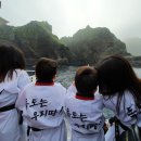 태비태권도 이미지