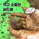 봄미술교습소 - 서대문구 거북골로14길 5 | 봄미술교습소