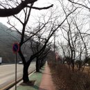 적현로-2 이미지