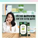 에스제이팜 | 여행 필수템! 더그린 올리브오일 10ml 42개입 언제 어디서든 풍미 폭발!