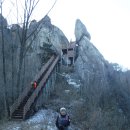 성수산목장 이미지