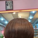 자유머리방 | "툭툭털면 끝나요"💁‍♀️ 뻐침머리에서 인생 보브단발머리로✨️