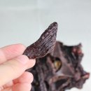 믿음사슴농장 이미지