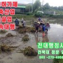 전대 번역.일반 행정사 이미지