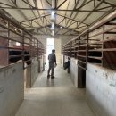 인천남동승마클럽 이미지