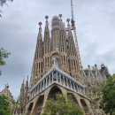 S4CrossFit | [여행] 포르투칼 리스본&amp;스페인 바르셀로나 7일 여행 후기 (4day 바르셀로나)