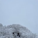 제주 관음사 후불도 | 제주 렌트카 추천 JAR 제주공항렌트카 / 제주도 겨울 여행 눈 구경