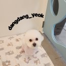 소사미용실 이미지