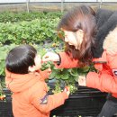 재영농장 이미지