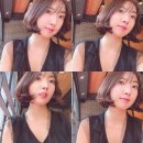 【SJB INFO】 단발머리 대통령 진앤정 헤어 묘정원장님 솔직후기*
