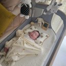 육아 꿀템 필수템 추천 [신생아~50일 직접 써본 후기] 기갈대 옆잠베개 출수형 분유포트 흑백모빌 초점...