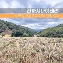 까시 | 라까시나이태리 억새뷰 당일캠핑 후기｜광주 반려견 동반 가능, 뷰맛집 인정
