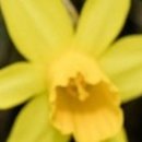 무수농장 이미지