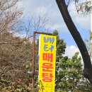 배터매운탕 네이버블로그
