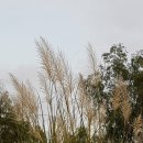 복지실업