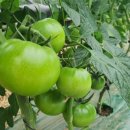 만해농장 이미지