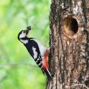 이앤엠학원 이미지