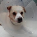 동현24시동물병원 이미지