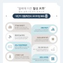 포레스트51 이미지