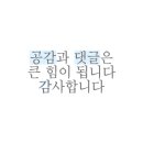 살림이 편해지는 정리정돈 이미지