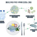 매일 마시는 이것, 건강의 적이 될 수도? 우리를 위협하는 미세플라스틱과 암 유발 위험 이미지