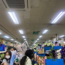 주택정원 셀프정원디자인 | W 04. 소피소 스튜디오 B타입 촬영후기 (/셀프부케)