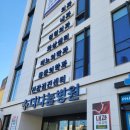독감 예방접종(녹십자) 접종 후기 - 인천 더나눔병원