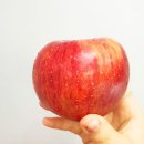 마믹 - 중구 하늘별빛로65번길 7-9 | 마믹