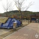 솔잎오토캠핑장 이미지