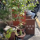 애락 | 낭만있는 신당 카페 핸드드립 전문 애락 테이크아웃 후기