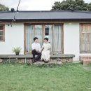 낙천주의자들 이미지